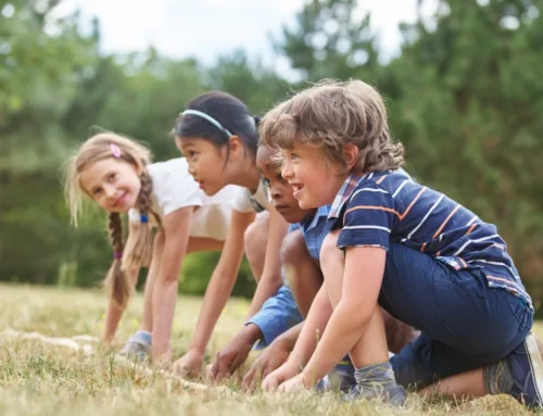 May Half Term Holiday Camps